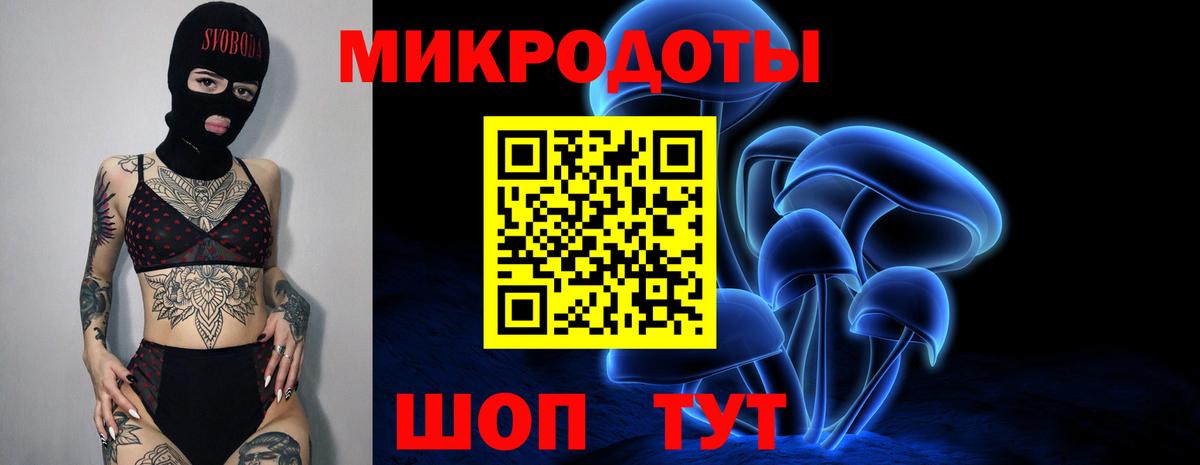 Сухой Лог  Псилоцибиновые грибы MAGIC MUSHROOMS  Вход с VPN 
